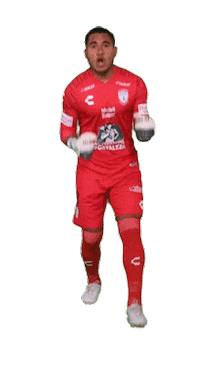 Liga Mx Mexico Sticker by Club Pachuca Tuzos