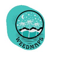 Palm Trees Night Sticker by Weedmaps