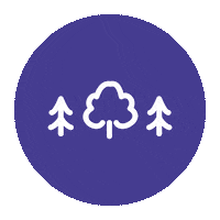 Tree Get Outside Sticker by Ordnance Survey
