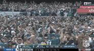 Philadelphia Eagles Football GIF by NFL