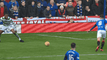 rangersfc GIF by Rangers Football Club