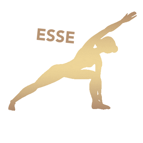 Pilates 10Anosvoll Sticker by Grupo VOLL