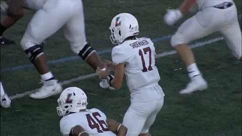 Football Touchdown GIF by Lafayette Leopards