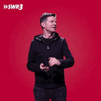 No Problem Thank You GIF by SWR3