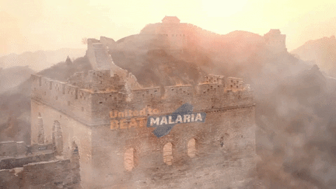 Mosquito Mozzie GIF by United to Beat Malaria