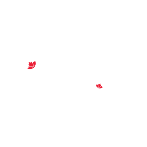 MontrealViagens giphygifmaker montreal clubemontreal montrealviagens Sticker