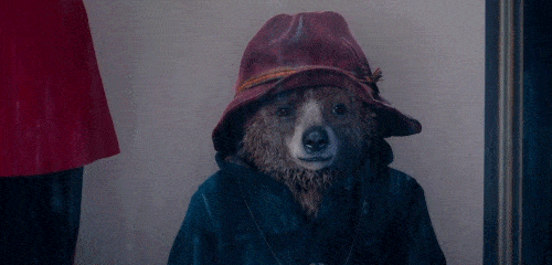 Hungry Rain GIF by Paddington Bear