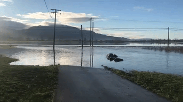 Sirens Heard in British Columbia as Nooksack River Breaches its Banks