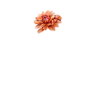Instagram Post Sticker by Latin American Fashion Summit