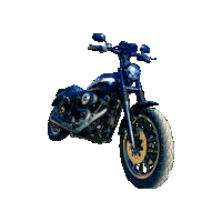 Harley Davidson Motorcycle Sticker by gmdetailing