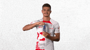 Red Bull Football GIF by RB Leipzig