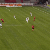 1 Fc Cologne Football GIF by 1. FC Köln