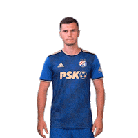 Football Soccer Sticker by GNK Dinamo