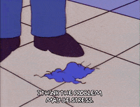 season 8 stress GIF
