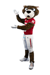 Football Celebration Sticker by University of South Alabama