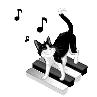 Cat Music Meow Sticker by Purina Magyarország