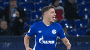 Happy Football GIF by FC Schalke 04