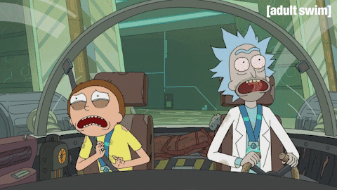 Season 3 Episode 6 GIF by Rick and Morty