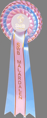 someswbmalardalen sport ribbon equestrian swb GIF