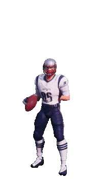 super bowl football Sticker by Leroy Patterson