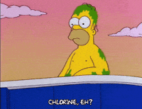 homer simpson GIF