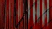 Video Art GIF by cskonopka