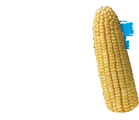 campo agro Sticker by Agroeste