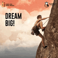 drunkenmonkeynaturallyhigh  GIF