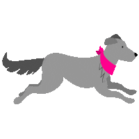 Eukanuba_Russia dog running dog eukanuba Sticker