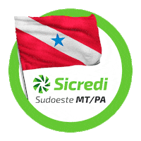 sicredisudoestemtpara sicredi matogrosso sicredisudoeste bandeiramt Sticker