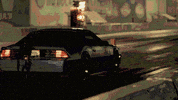 Sub Pop The Palaceer GIF by Sub Pop Records