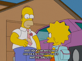 homer simpson episode 6 GIF