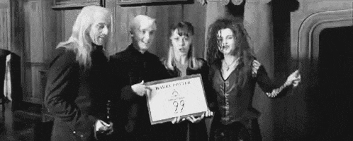 harry potter hp GIF