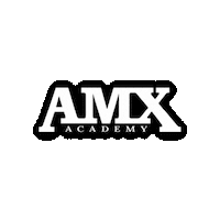 theamxbrand  Sticker