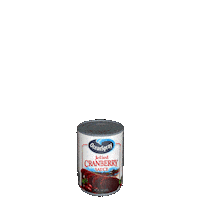 Ocean Spray Sticker