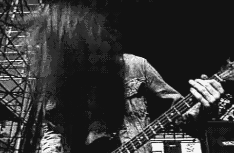 bassist GIF