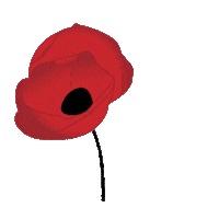 Poppies Anzac Sticker by CSDSocialMedia