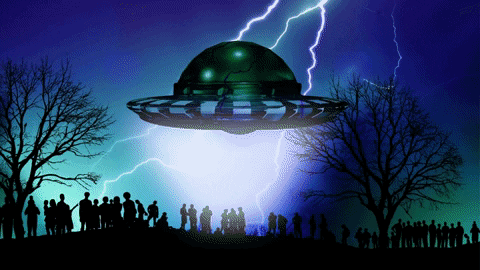 taughnee giphyupload GIF