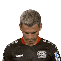 Bayer 04 Hello Sticker by Bundesliga