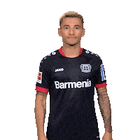 Bayer 04 Football Sticker by Bundesliga