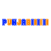 Desi Punjabi Sticker by Pure Bhangra
