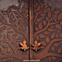 Burak Ozcivit Osman GIF