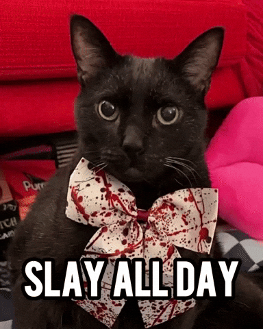 Black Cat Slay GIF