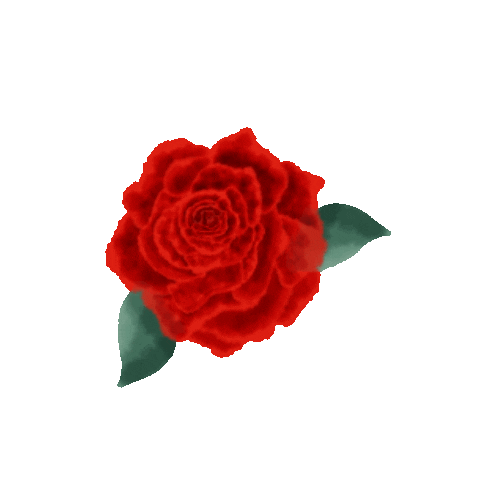 Flower Fall Sticker
