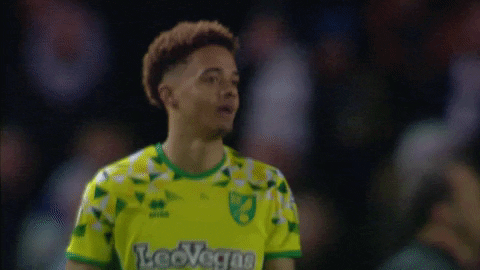 NorwichCityFC giphyupload football soccer ncfc GIF