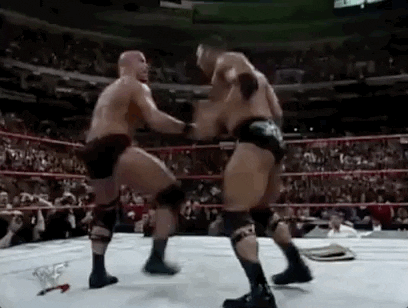 Steve Austin Sport GIF by WWE