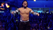 Jeff Hardy Sport GIF by WWE