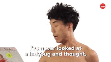 Hot Ladybug?