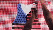 Independence Day America GIF by BuzzFeed