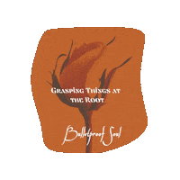 Hip Hop Bps Sticker by Bulletproof Soul